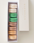 SPRINGBOKS MACARON SLEEVE